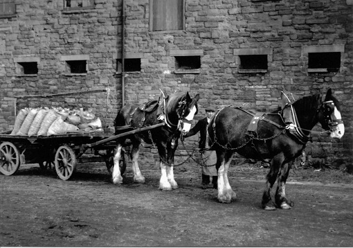 Horses and wagon